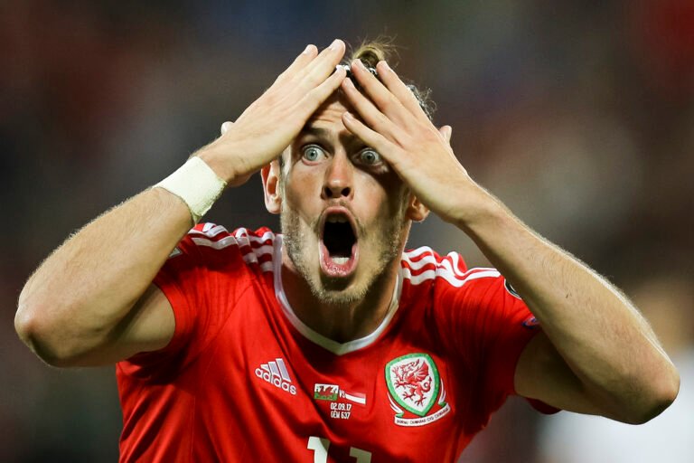 © Gareth Everett / Huw Evans Picture Agency